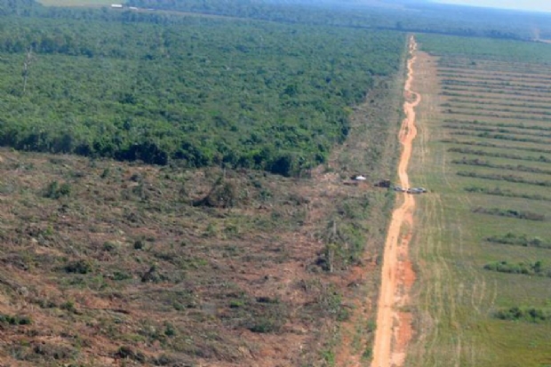 Mato Grosso reduz desmatamento na Amazônia Legal em 78%, aponta Imazon